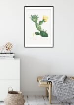 Poster Cactus Opunta 3