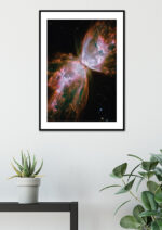 Poster Hubbleteleskopet - Rosett av gaser & stoft 3