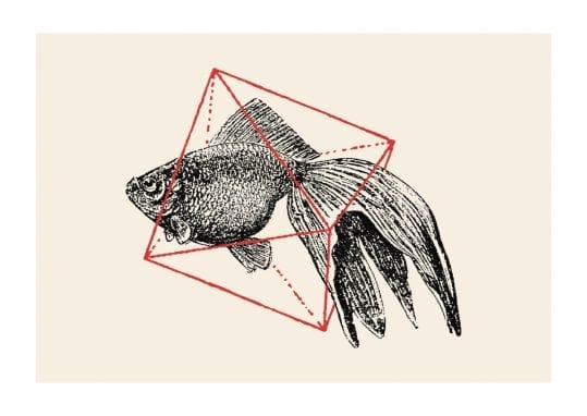 - Florent Bodart PosterFish In Geometrics I 1