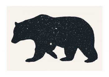 - Florent Bodart PosterStarry Bear 1