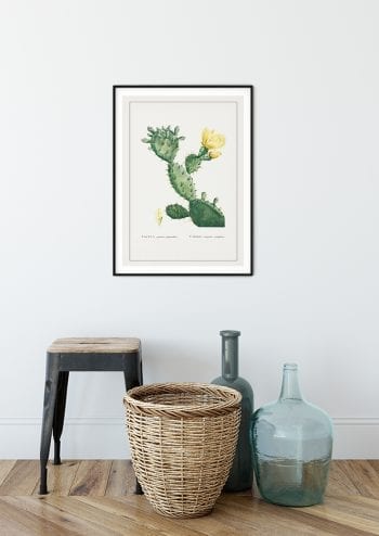 Poster Cactus Opunta 2