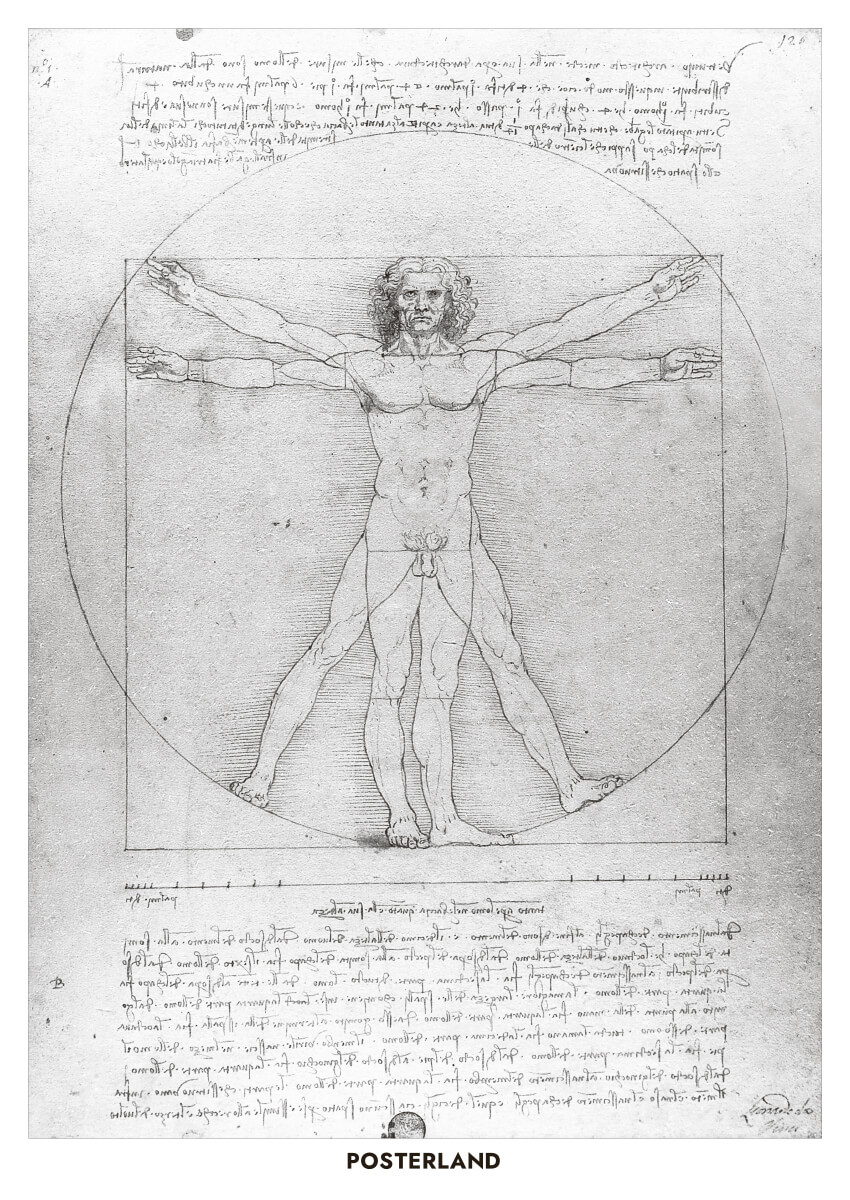 Vitruvian Man Anatomi