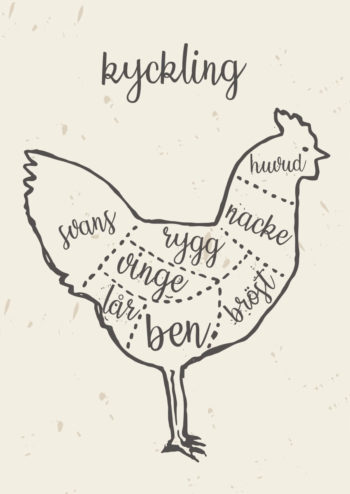 Poster Kyckling Fågel styckningsschema 1