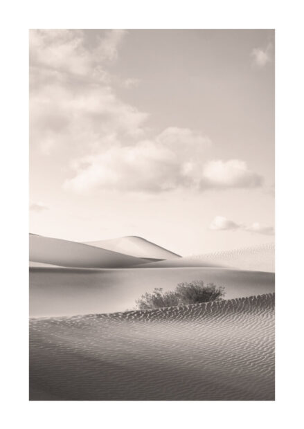 Poster Sanddyner svartvitt 1