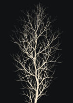 - Kubistika PosterThe White Tree 1