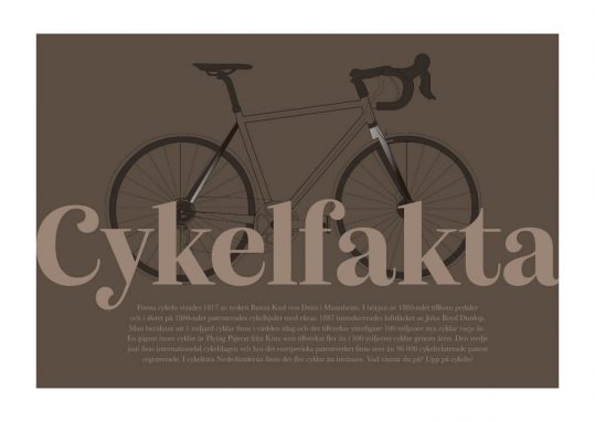 Poster Cykel med cykelfakta - mörkbrun 1