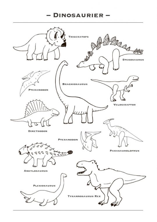 Poster Dinosaurier - Svart-vitt 1