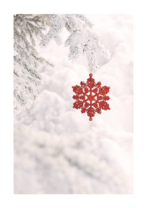 Poster Julpynt i snö 1