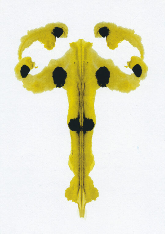 Poster Rorschach Inkblot 5 1