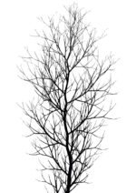 - Kubistika PosterThe Tree 1