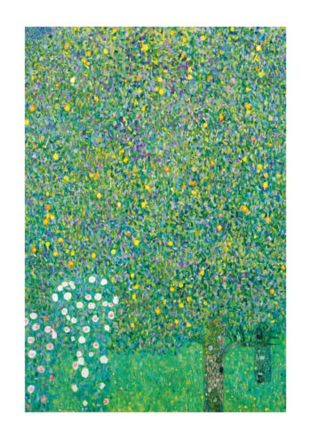 Poster Klimt Roses Under Trees 1904 1