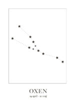 Poster Oxen Stjärntecken 1
