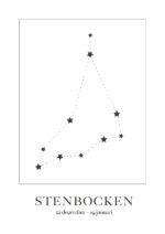 Poster Stenbocken Stjärntecken 1