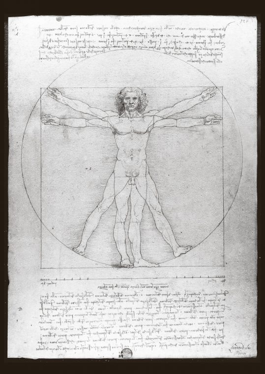 Poster Vitruvian Man - Leonardo da Vinci Svartvit 1