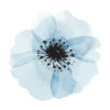 Poster Blå blomma vattenfärg 3