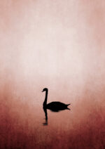 - Kubistika PosterThe Swan 1
