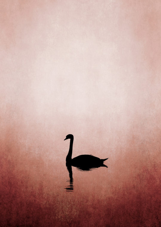 - Kubistika PosterThe Swan 1