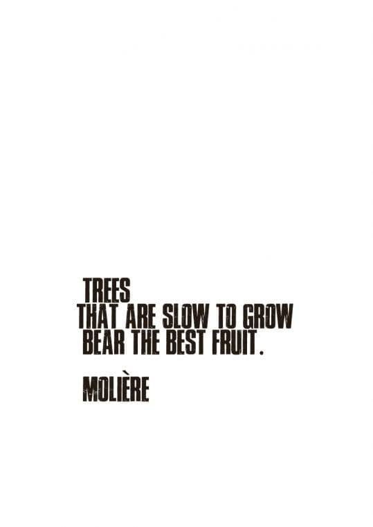 Poster Trees that are slow to grow... 1
